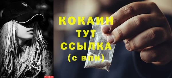 дмт Верея