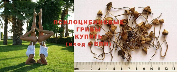 дмт Верея