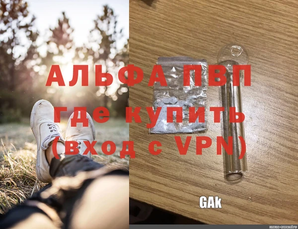дмт Верея